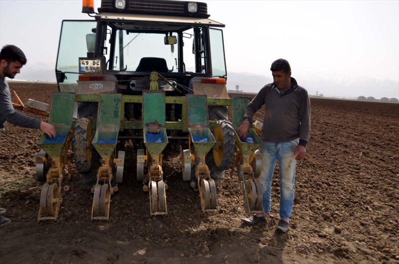 Muş Ovası'nda tohumlar toprakla buluştu