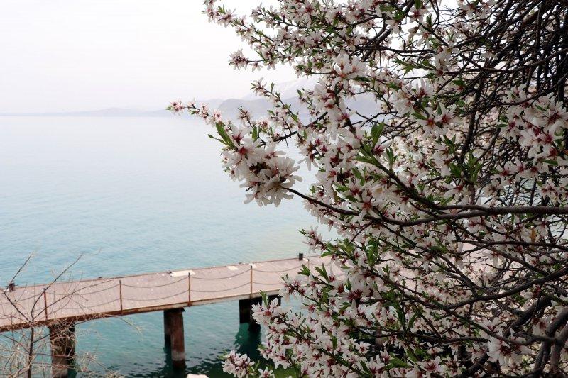 Akdamar Adası'nda kısıtlama sessizliği