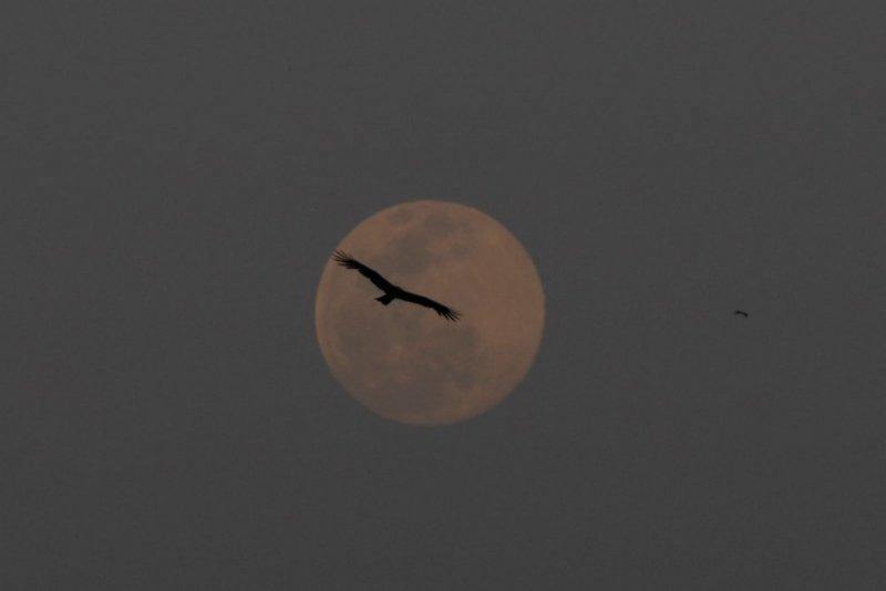 2021'in ikinci Süper Ay'ı dün gece gözlemlendi