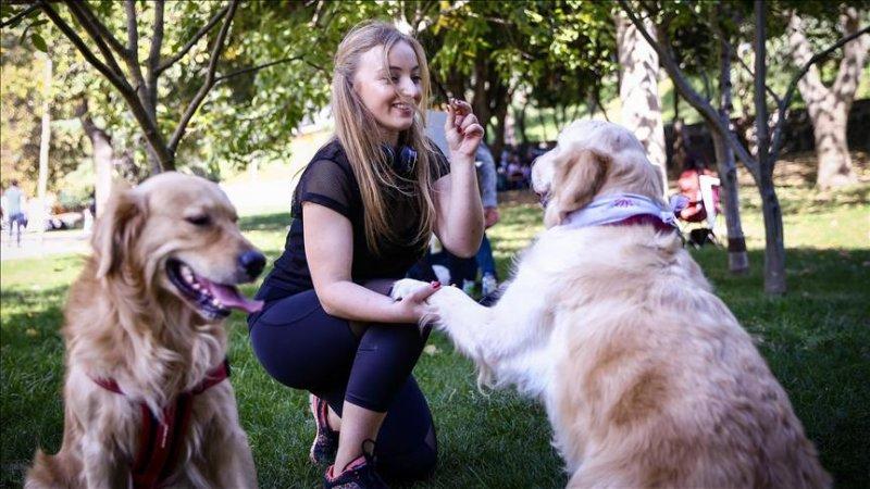 Bakımı kolay olan sevimli evcil hayvanlar