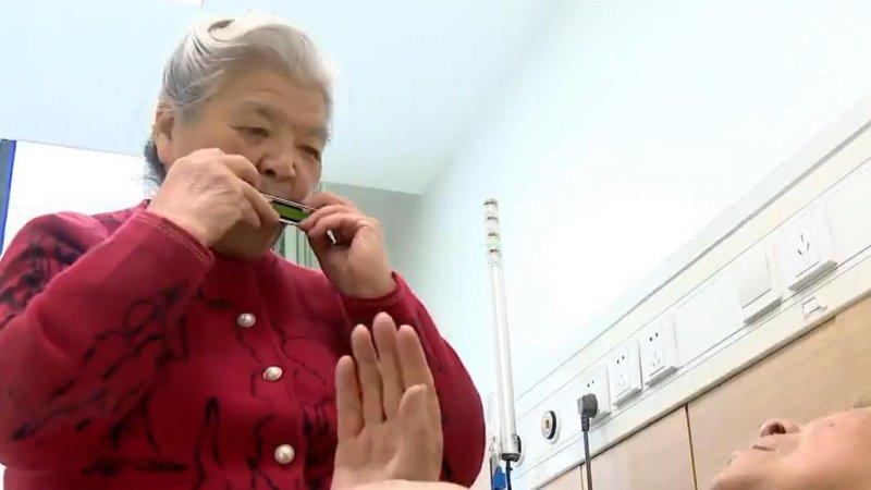 Kolay öğrenilen müzik aletleri