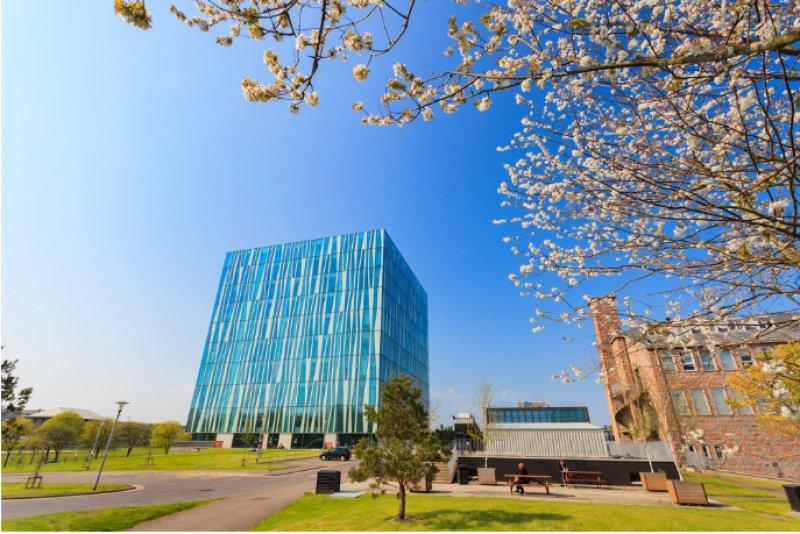 Dünyanın en önemli görkemli kütüphaneleri