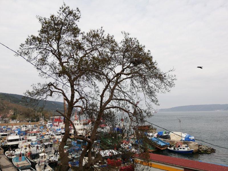 Fotoğraflarla Boğaz turu