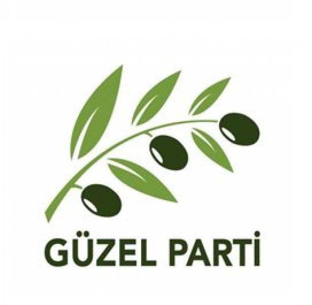 Son yıllarda Türkiye'de kurulan yeni siyasi partiler