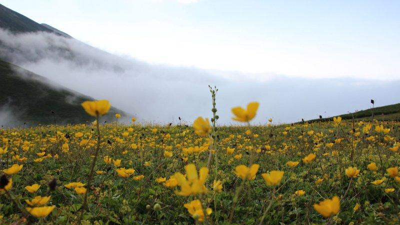 Türkiye'de doğa yürüyüşü yapılabilecek sakin yerler