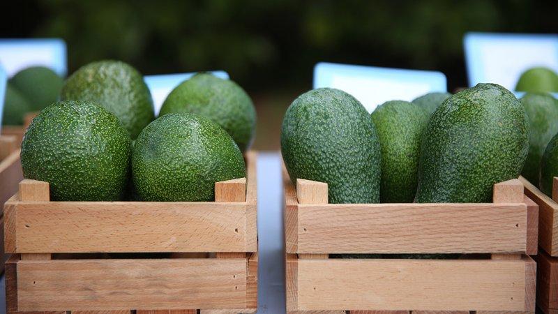 İllerin üretimiyle meşhur tarım ürünleri