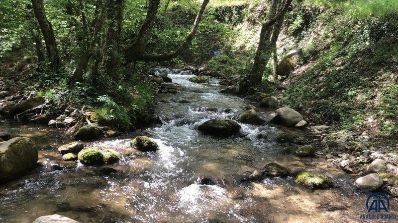 Kazdağları doğal güzelliğiyle görenleri büyülüyor