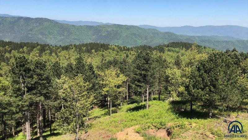 Kazdağları doğal güzelliğiyle görenleri büyülüyor