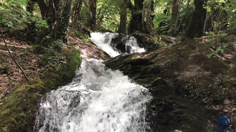 Kazdağları doğal güzelliğiyle görenleri büyülüyor