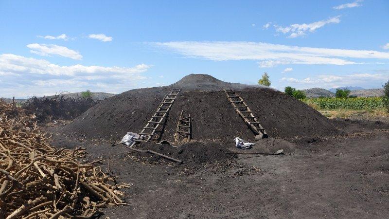 Portakal ağaçlarının kömür yolculuğu