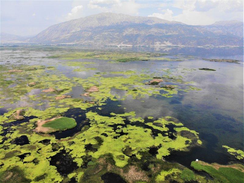 Çivril Işıklı Gölü'nde nilüfer şöleni
