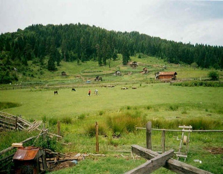 Karadeniz'in ünlü yaylaları