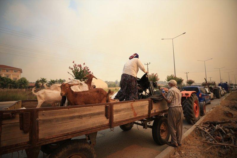 Manavgat'taki yangın, yerleşim yerlerine sıçradı