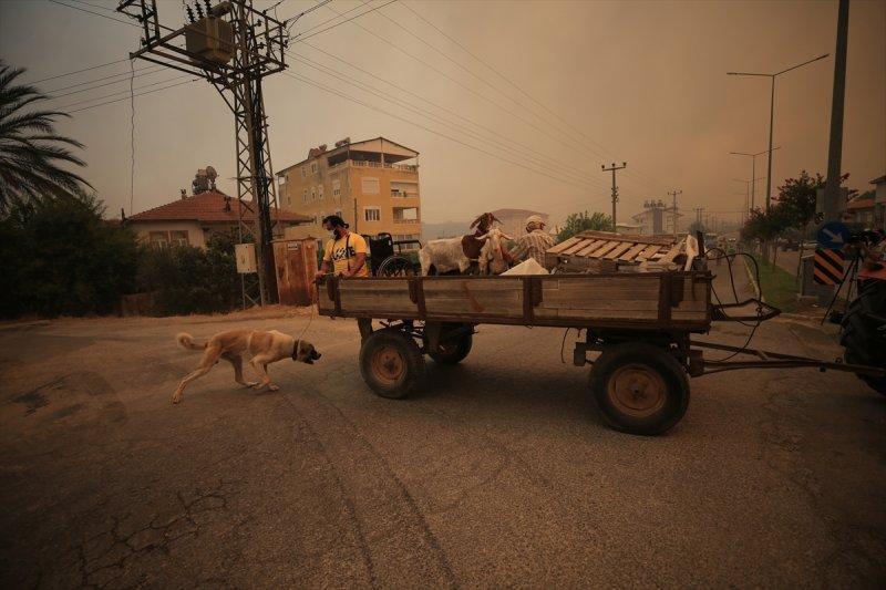 Manavgat'taki yangın, yerleşim yerlerine sıçradı