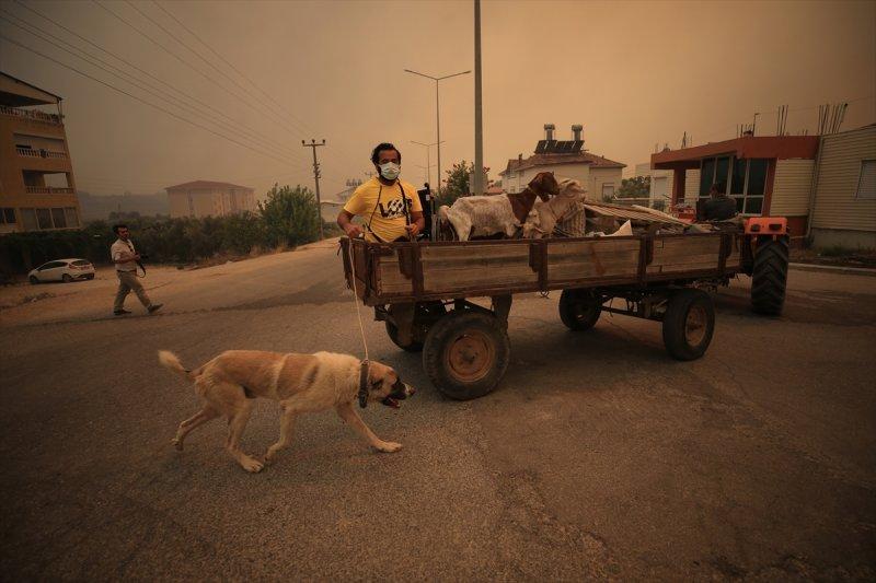Manavgat'taki yangın, yerleşim yerlerine sıçradı
