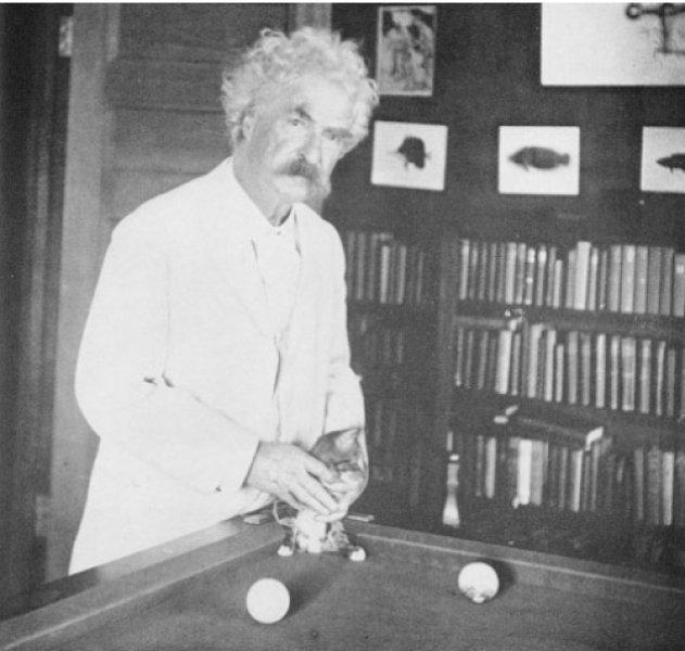 Yazarların kedileri