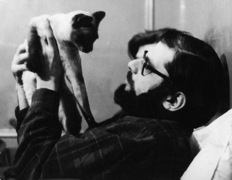 Yazarların kedileri