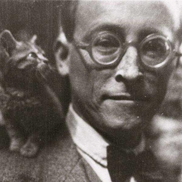 Yazarların kedileri