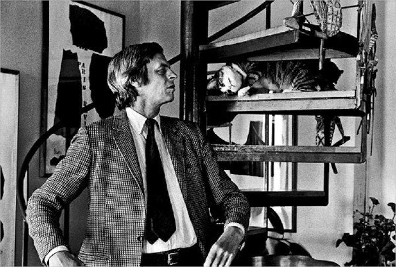 Yazarların kedileri