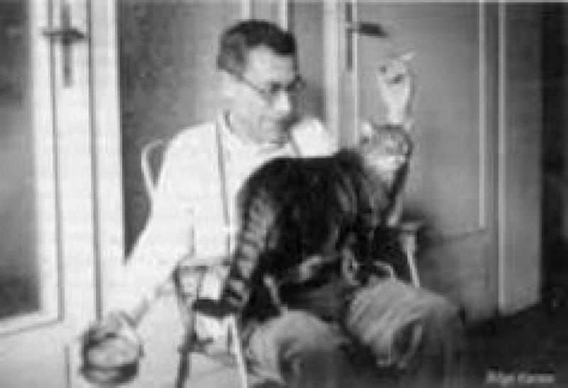 Yazarların kedileri