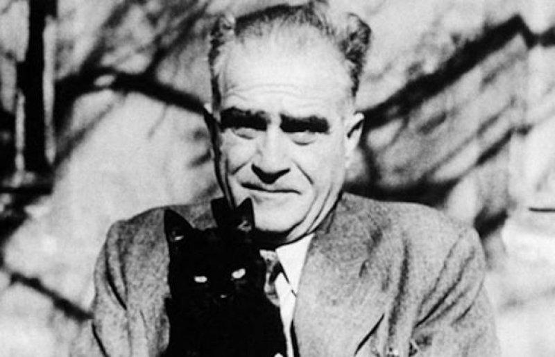 Yazarların kedileri