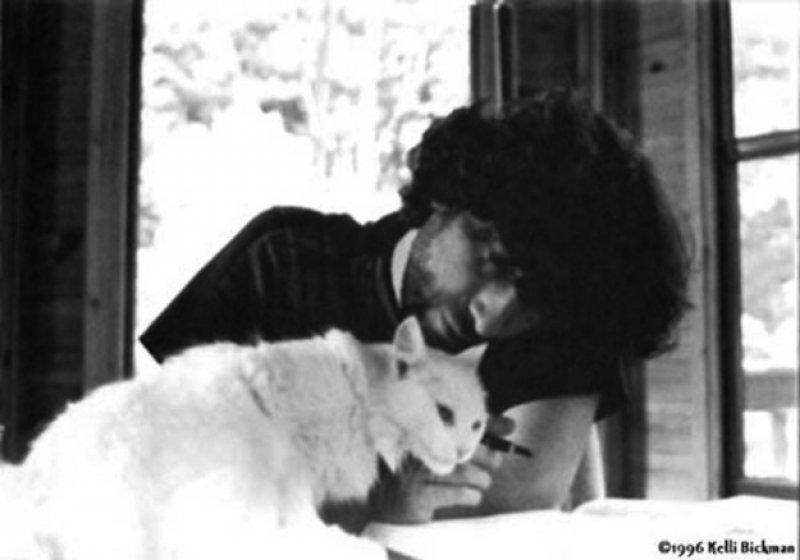 Yazarların kedileri