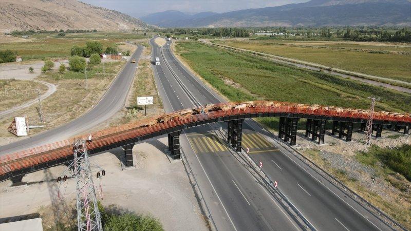 Erzincan'da Ekolojik Üst Geçit, güvenli geçiş rotası oldu