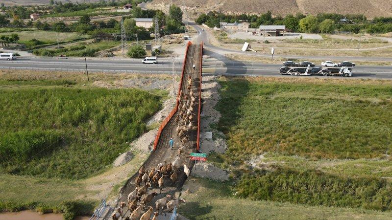 Erzincan'da Ekolojik Üst Geçit, güvenli geçiş rotası oldu