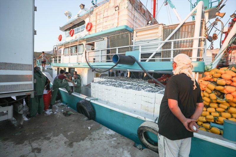 Balıklar, tezgahlardaki yerlerini aldı