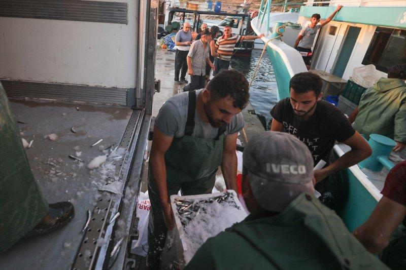Balıklar, tezgahlardaki yerlerini aldı