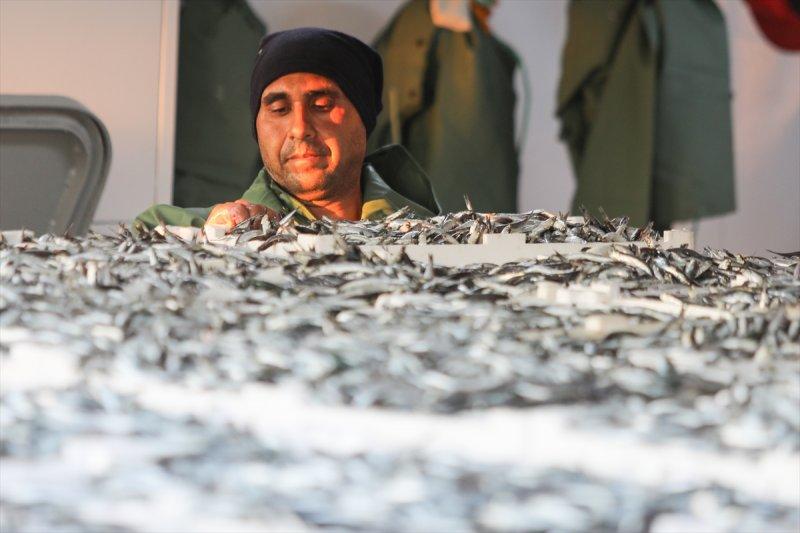 Balıklar, tezgahlardaki yerlerini aldı