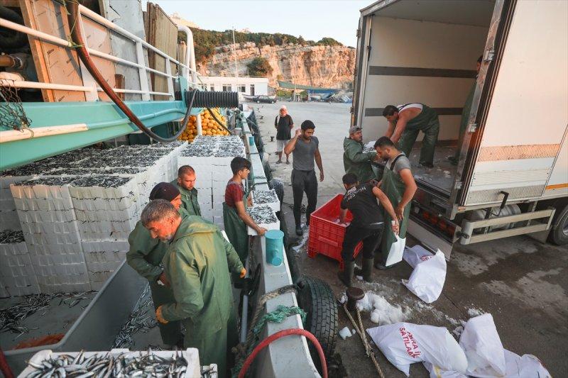 Balıklar, tezgahlardaki yerlerini aldı