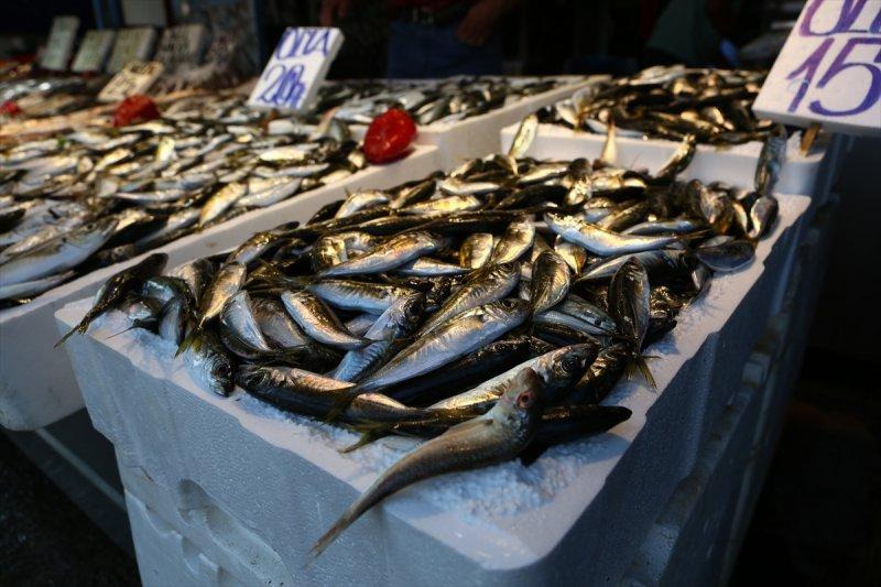 Balıklar, tezgahlardaki yerlerini aldı