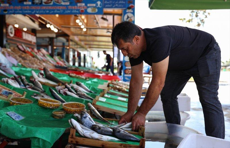 Balıklar, tezgahlardaki yerlerini aldı