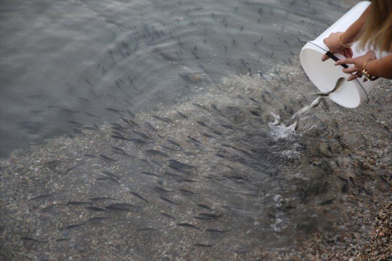 Balıklar, tezgahlardaki yerlerini aldı