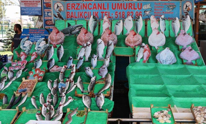 Balıklar, tezgahlardaki yerlerini aldı