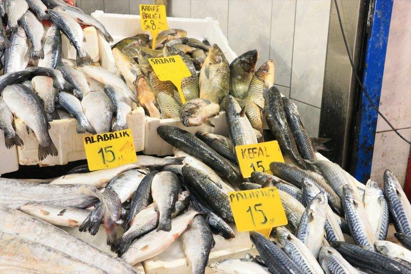 Balıklar, tezgahlardaki yerlerini aldı