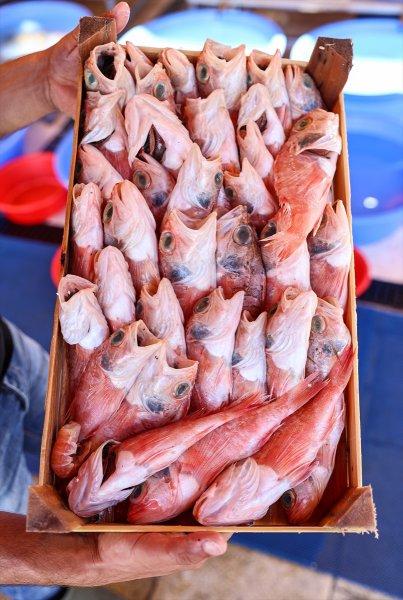 Balıklar, tezgahlardaki yerlerini aldı