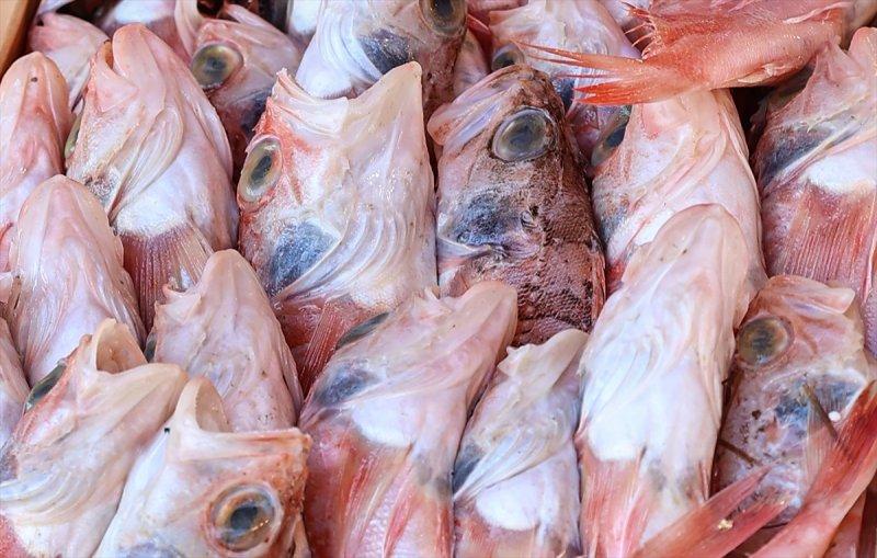 Balıklar, tezgahlardaki yerlerini aldı