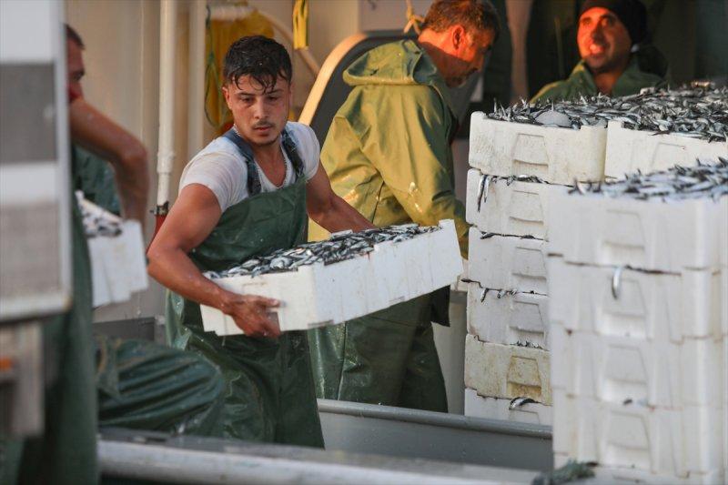 Balıklar, tezgahlardaki yerlerini aldı