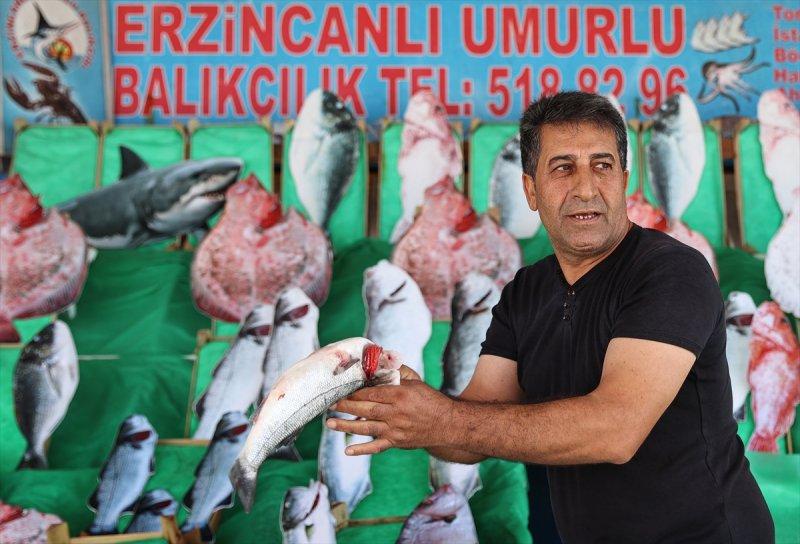 Balıklar, tezgahlardaki yerlerini aldı
