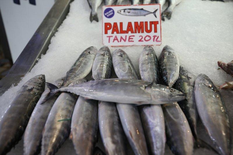 Balıklar, tezgahlardaki yerlerini aldı