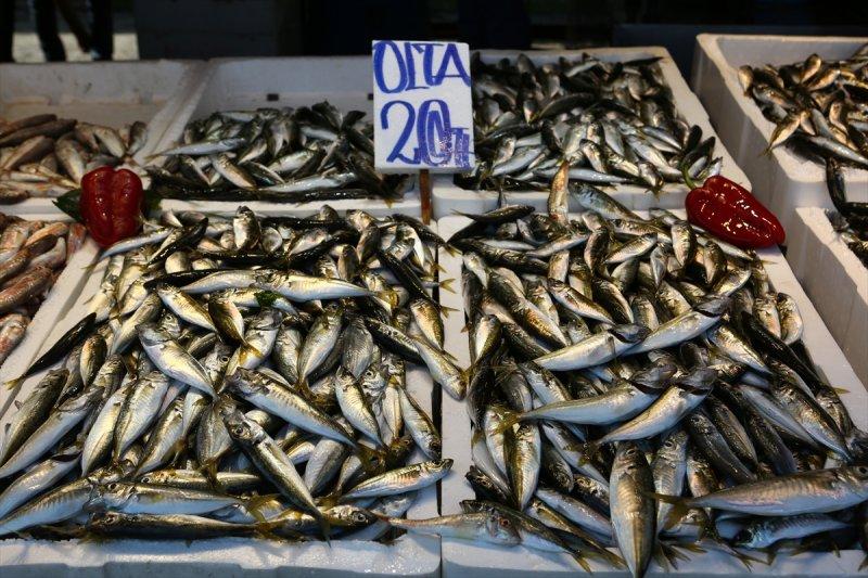 Balıklar, tezgahlardaki yerlerini aldı