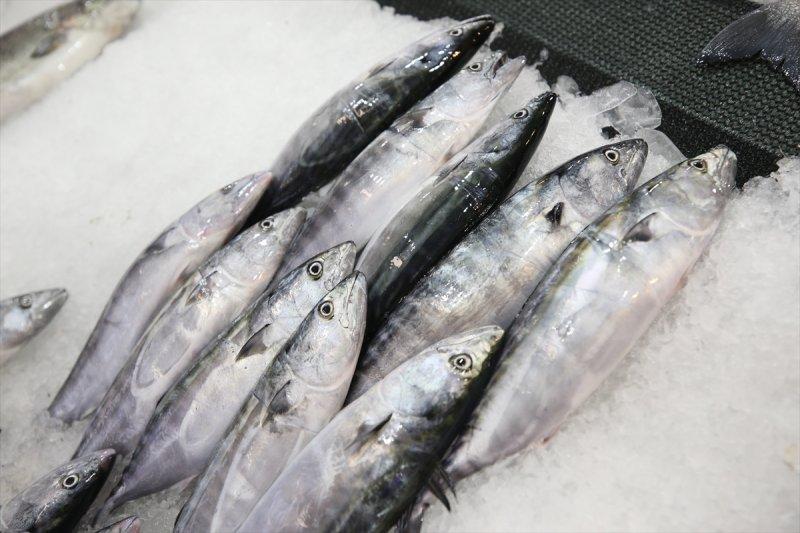 Balıklar, tezgahlardaki yerlerini aldı