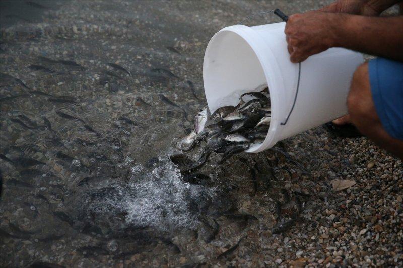Balıklar, tezgahlardaki yerlerini aldı