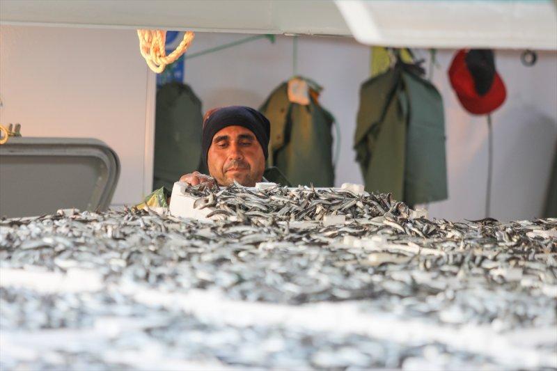 Balıklar, tezgahlardaki yerlerini aldı