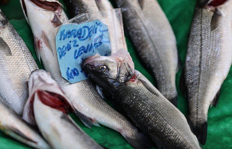 Balıklar, tezgahlardaki yerlerini aldı