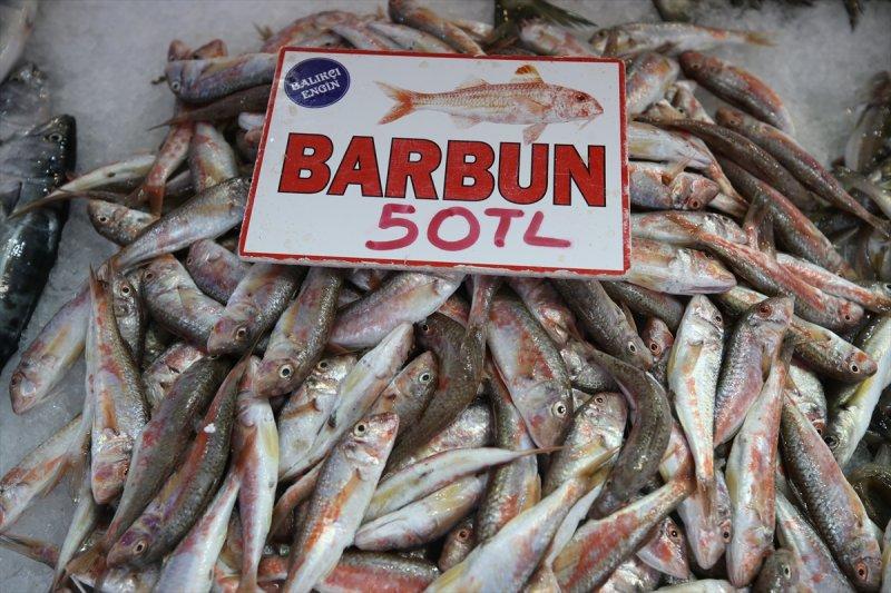 Balıklar, tezgahlardaki yerlerini aldı