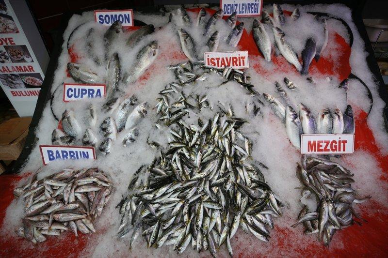 Balıklar, tezgahlardaki yerlerini aldı