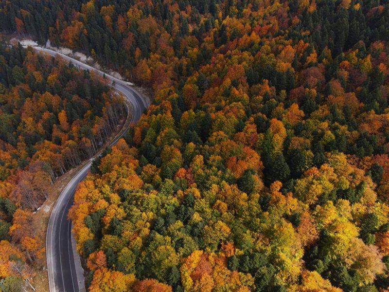 Uludağ'da güz güzelliği